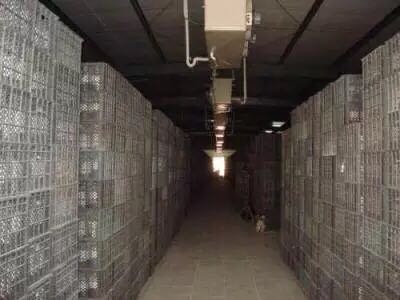 西安火博（中国）